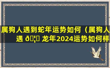 属狗人遇到蛇年运势如何（属狗人遇 🦊 龙年2024运势如何样）